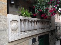 IMG 3179 (1)  the Coquille of St-Jacques